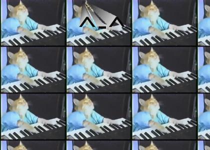 Keyboard cat at home when no one is watching