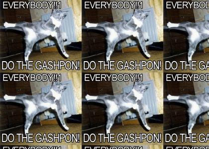 Everybody do the gashpon