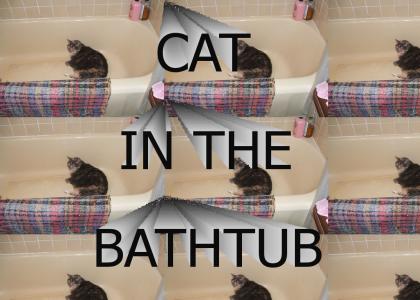 CAT IN THE BATHTUB