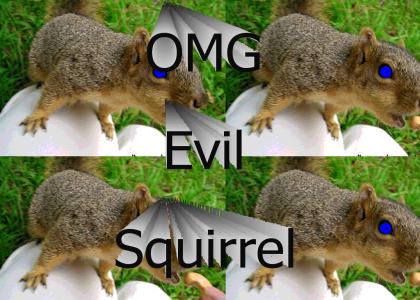 Evil Squirrely