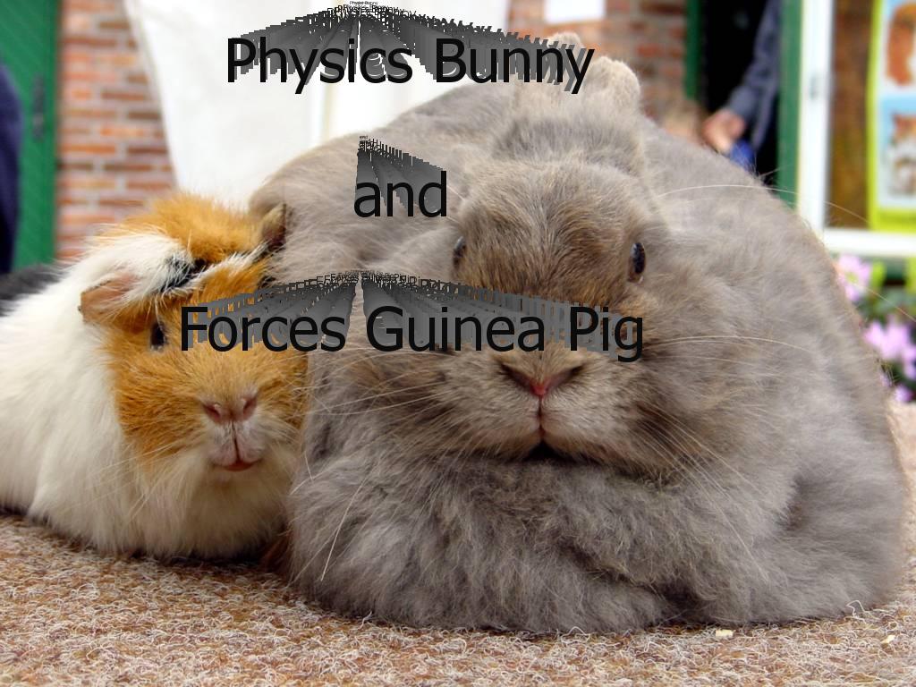 bunnyofnewtonitsgonrain