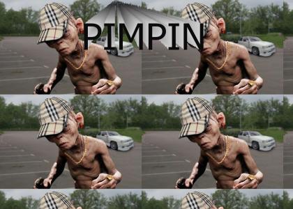 Lord of the Pimps