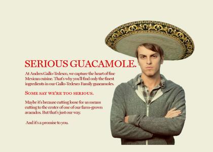 Andres Gallo-Tedesco. Serious Guacamole.