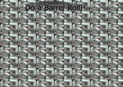 Dog Does a Barrel Roll