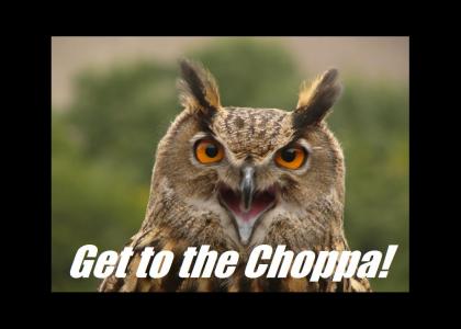 Owl says : GET TO THE CHOPPA!