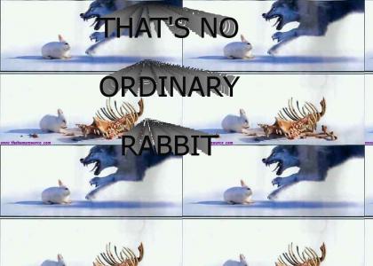 Well, that's no ordinary rabbit.