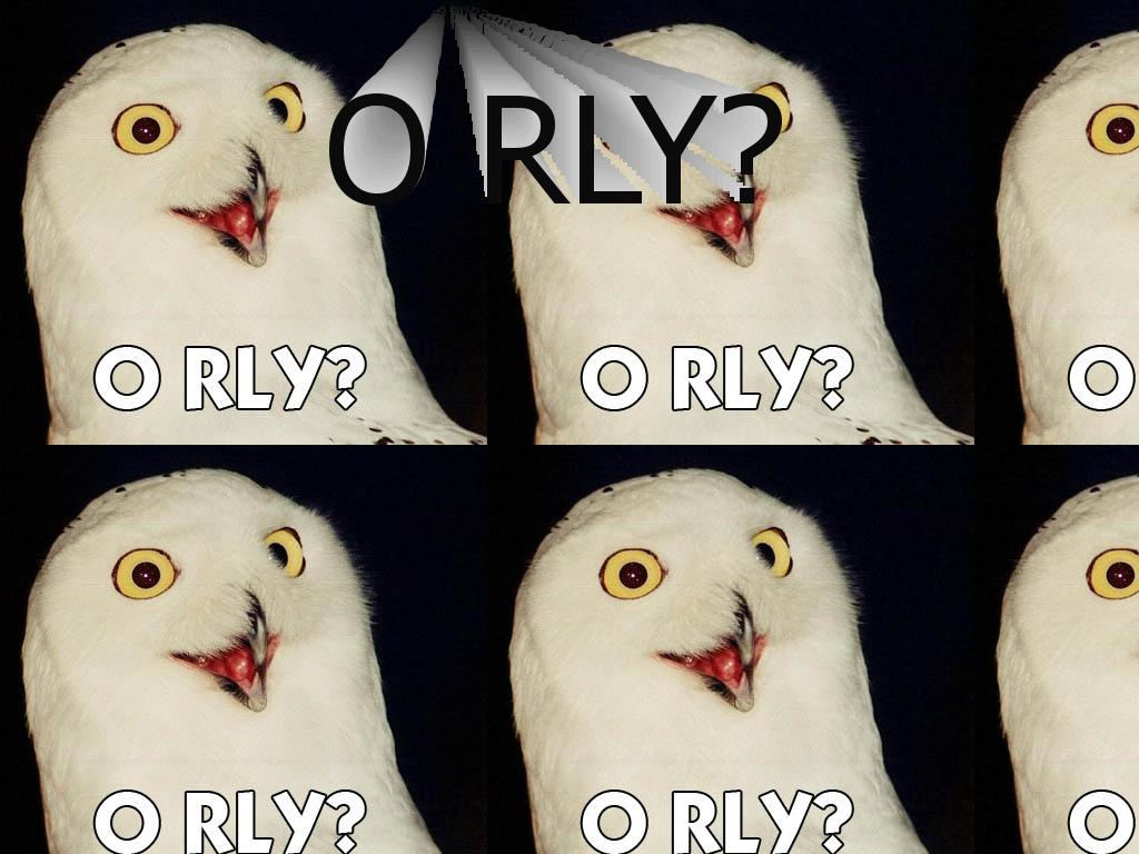 o-rly-now