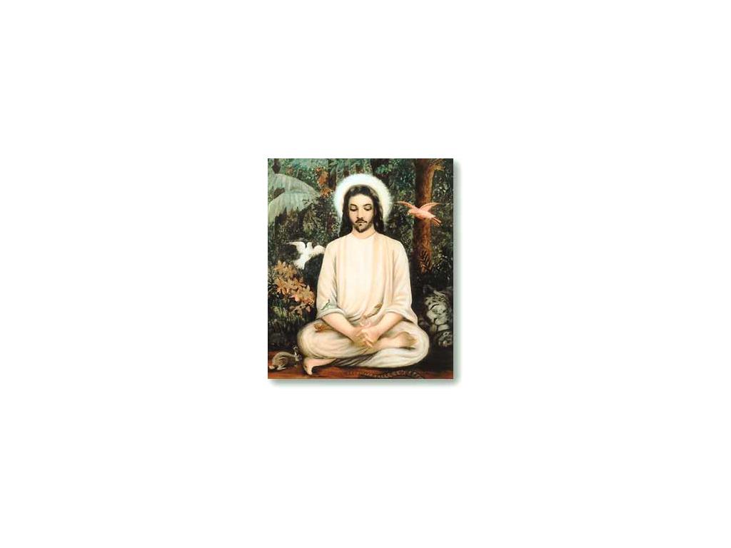 jesusishindu