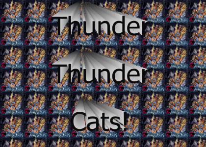 ThunderThunderCats