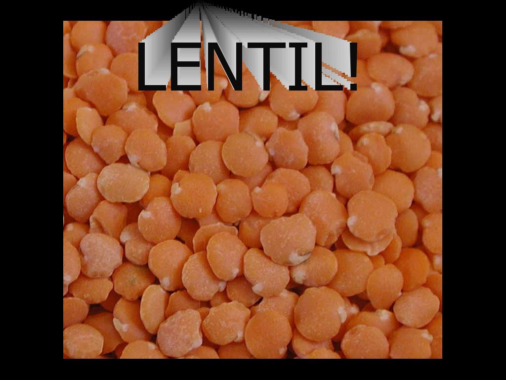 lentil