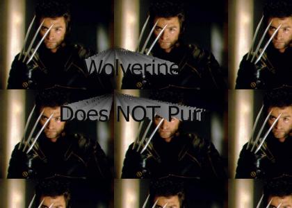 Wolverine Purrs