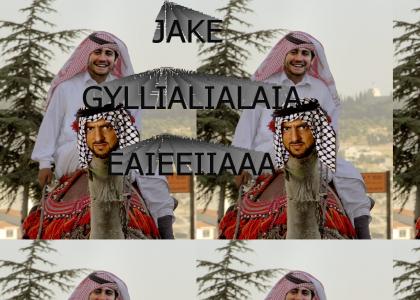 Hassan and Gyllenhaal: Part 2