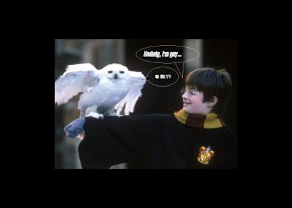 Harry Potter and the O RLY Owl