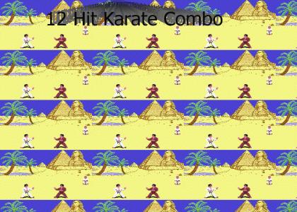 12 Hit Karate Combo