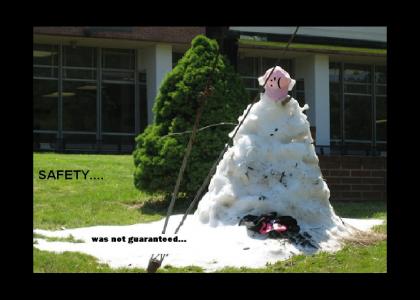 Snowman forgets one thing...