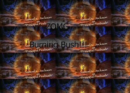 Lol, burning bush