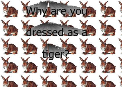 Why are you dressed as a tiger?