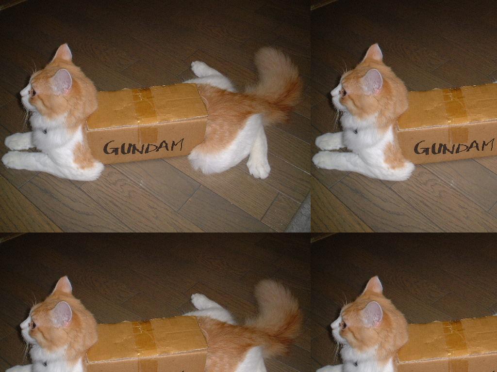 gundomcat