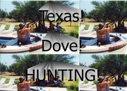 Texas dove hunting