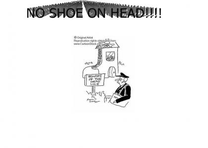 Don't Put Shoe On Head!!!!!