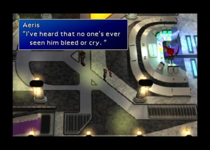 Aeris Describes Chuck Norris