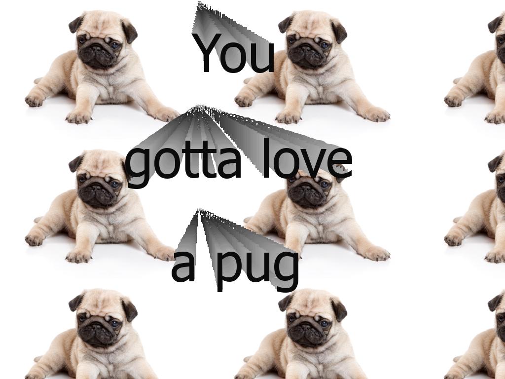 yougottaloveapug