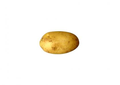 Potato