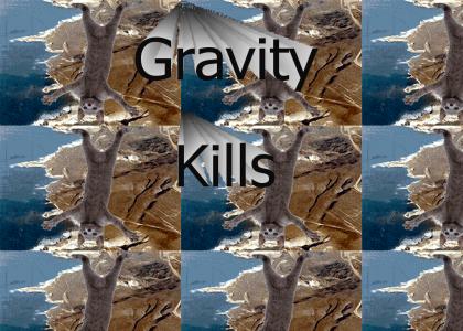 Gravity Cat had One Weakness *Updated Image*