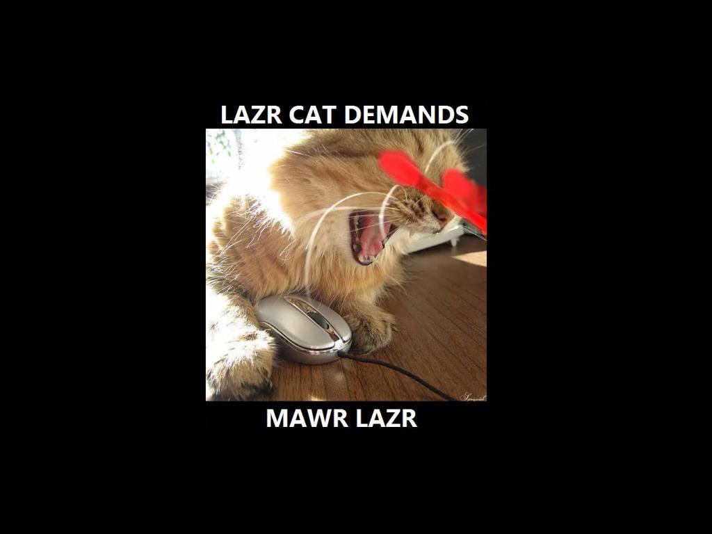 mawrlazrcat