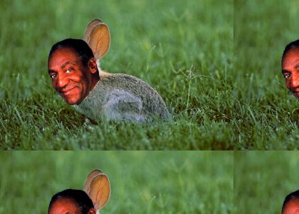 Cosby Bunny