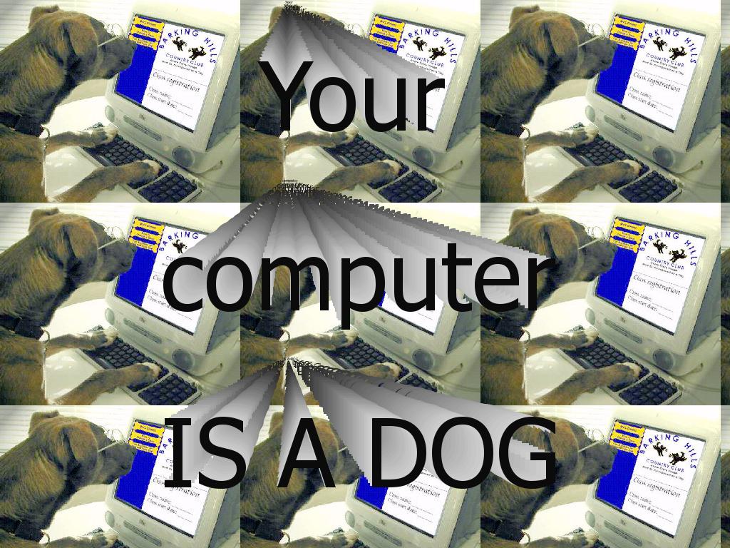 computerdog