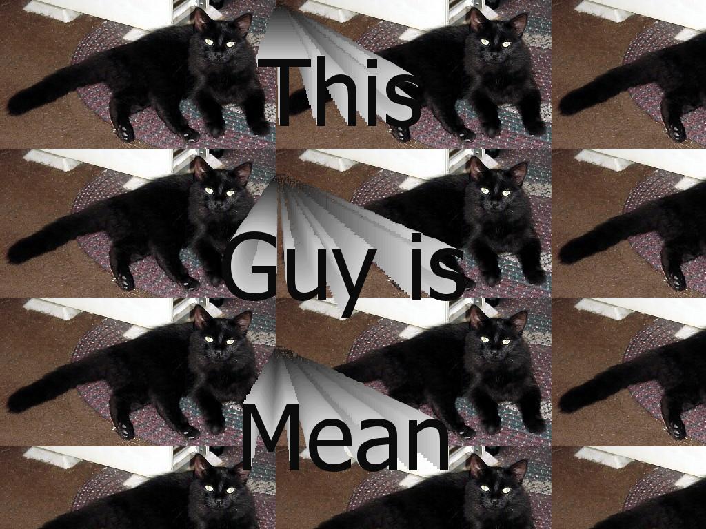meanguy