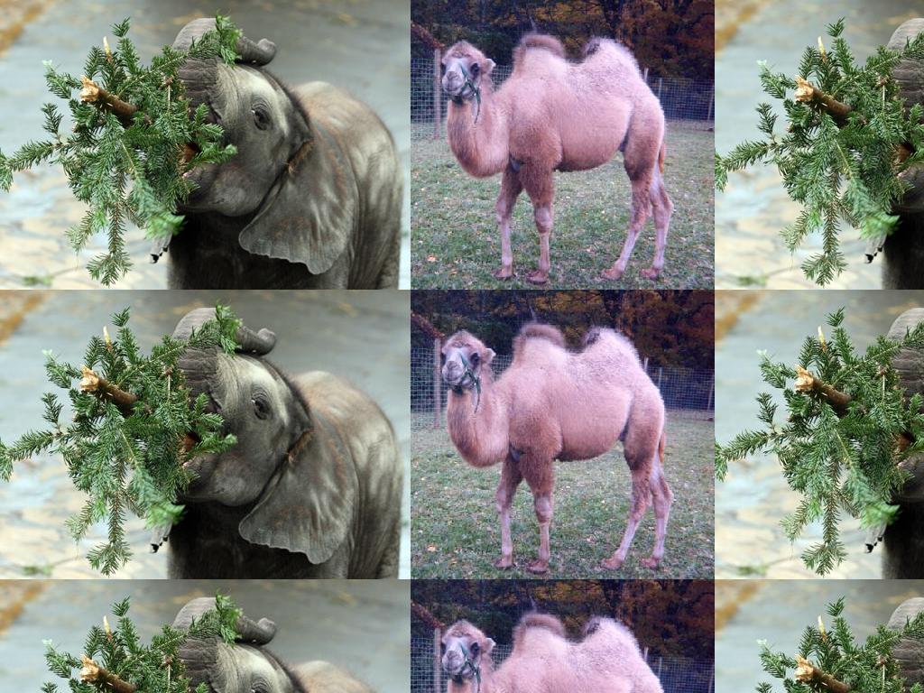 myhumpsmyhumps