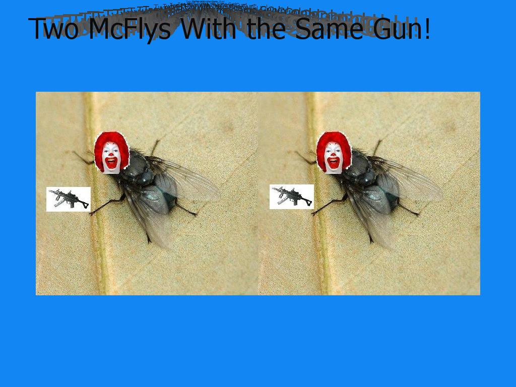 twomcfly