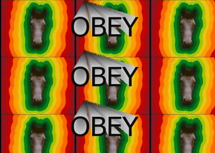 OBEY