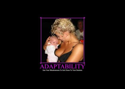 Motivator: Adaptability (updated)