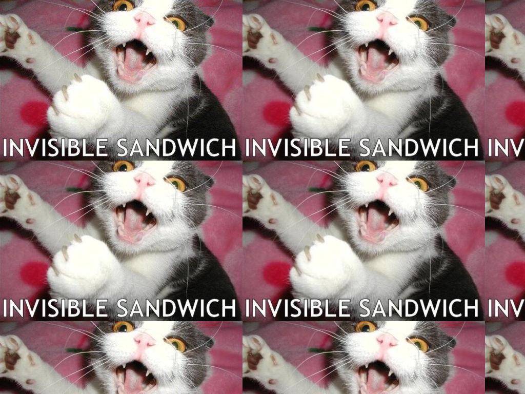 sandwichcat