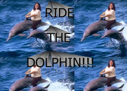 Ride the Dolphin