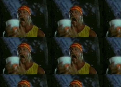 Hulk Hogan vs. Gremlins