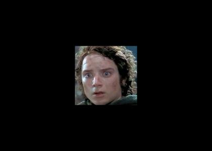 Frodo stares into your soul