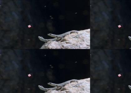 kirby gets Planet Earth™'d and neither lizard could really give a shit. crap, he's dead.