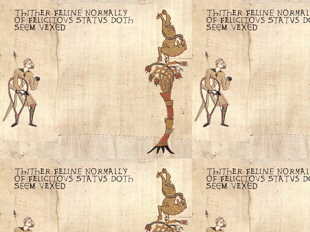 medievalgravitycat