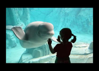 Porpoise and Girl