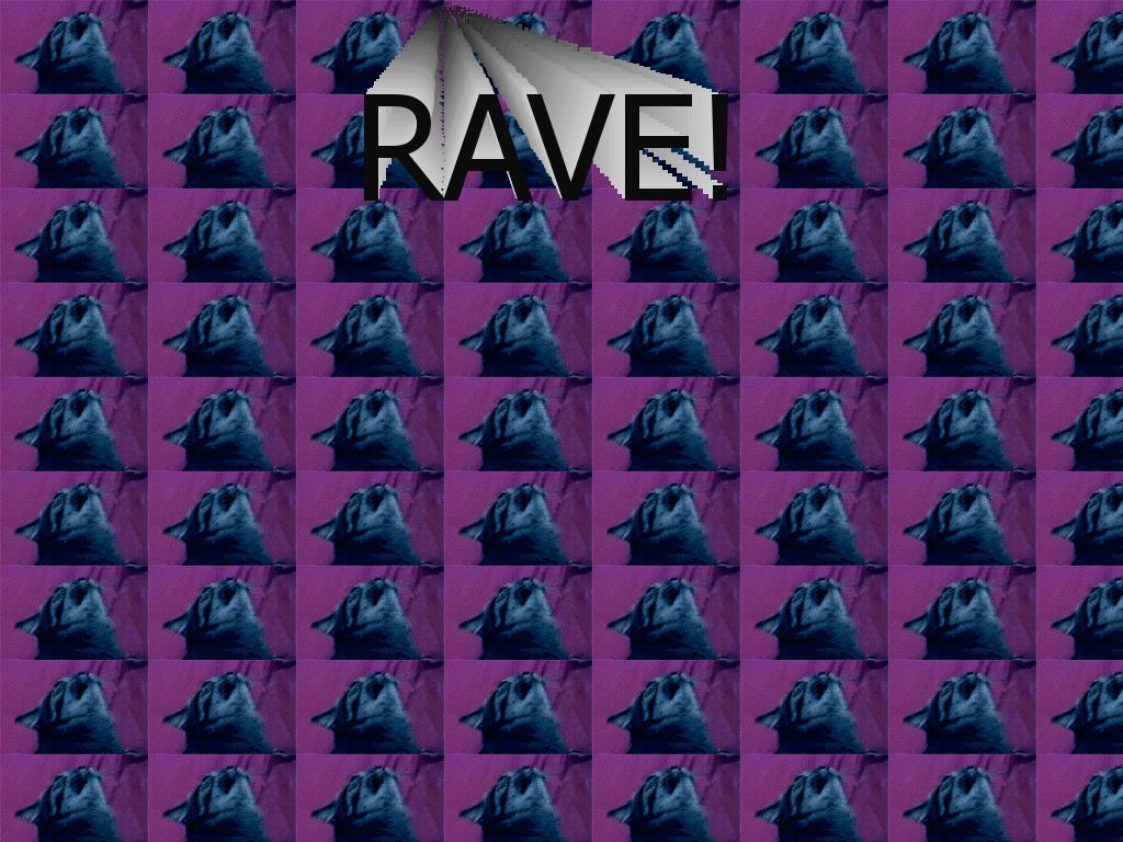 raver-cat