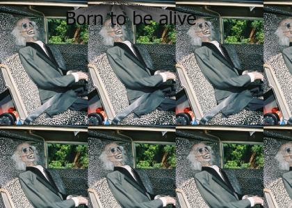 Born to be alive