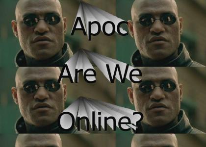 Apoc, Are We Online?