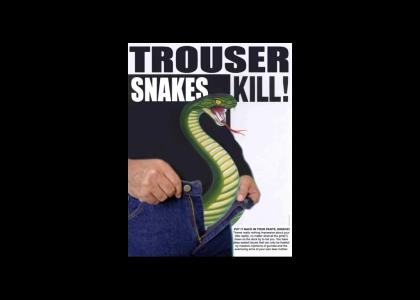 TrouserSnakes