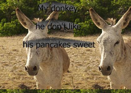 My donkey