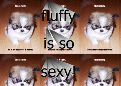 fluffy is too sexy