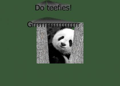Panda Teefies!